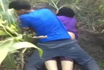 Video Tercyduk Mesum di Kebun Jagung